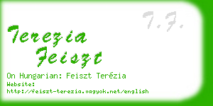 terezia feiszt business card